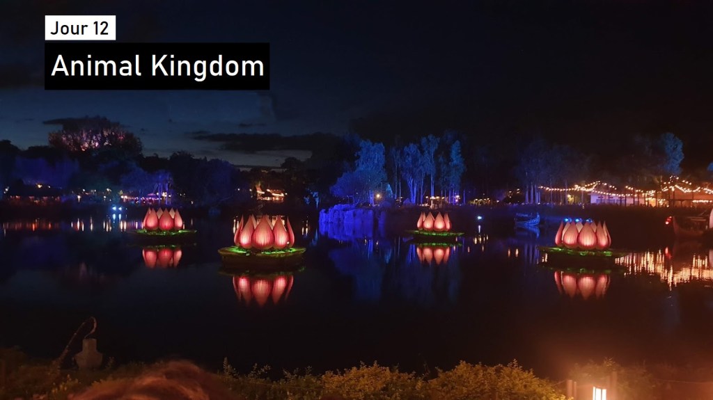 J12 – Festival du Roi Lion, Rivers of Light: une super journée à Animal Kingdom&nbsp;!